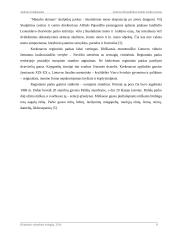 Lietuvos Respublikos žemės fondo tyrimas 8 puslapis