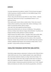 Netektis žmogaus gyvenime 2 puslapis