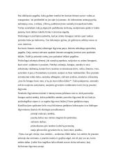 Netektis žmogaus gyvenime 7 puslapis