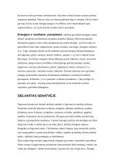 Netektis žmogaus gyvenime 9 puslapis