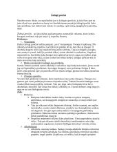 Viešoji kalba. Žalingi įpročiai. 10kl.