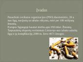 Lietuvos moksleivių rūkymas ir jo paplitimo pokyčiai 1994–2006 2 puslapis