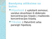 Osmoso stebėjimas augalinėse ląstelėse 2 puslapis