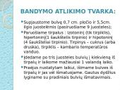 Osmoso stebėjimas augalinėse ląstelėse 4 puslapis