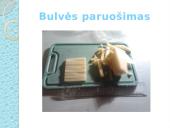 Osmoso stebėjimas augalinėse ląstelėse 5 puslapis