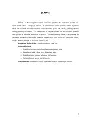 Apie Kūčių tradicijas ir papročius 3 puslapis