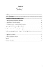 PSO organizacija 2 puslapis