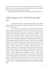 PSO organizacija 13 puslapis