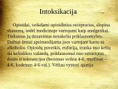 Psichikos ir elgesio sutrikimai vartojant alkoholį  17 puslapis