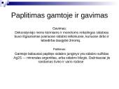 Sidabras skaidrės 3 puslapis