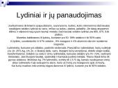 Sidabras skaidrės 6 puslapis