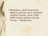 Skaidrės apie Juozą Tumą - Vaižgantą 18 puslapis