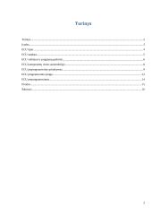 ECU programavimas 2 puslapis