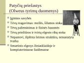 Patyčios mokykloje skaidrės 7 puslapis