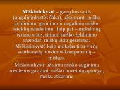 Miškininkystė skaidrės 2 puslapis