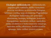 Miškininkystė skaidrės 4 puslapis