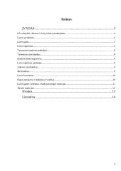 Lietuvos Respublikos jūrų statutas jūrų laivuose 2 puslapis