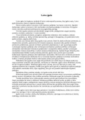 Lietuvos Respublikos jūrų statutas jūrų laivuose 5 puslapis