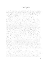 Lietuvos Respublikos jūrų statutas jūrų laivuose 6 puslapis