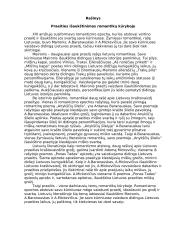 Praeities išaukštinimas romantikų kūryboje