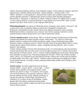 Suvalkijos krašto papročiai ir tradicijos 5 puslapis