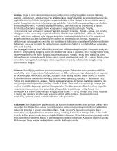 Suvalkijos krašto papročiai ir tradicijos 8 puslapis