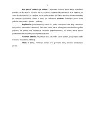 „Rokiškio Sūrio“ paklausą ir pasiūlą įtakojantys veiksniai 5 puslapis