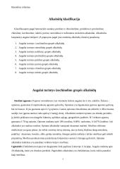 Referatas Alkaloidai 7 puslapis