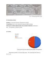 Naujo produkto „Uncle Pen“ įvedimas į rinką 11 puslapis