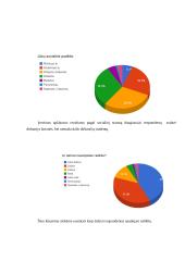 Naujo produkto „Uncle Pen“ įvedimas į rinką 13 puslapis
