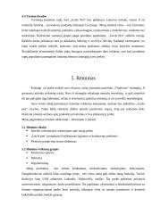 Naujo produkto „Uncle Pen“ įvedimas į rinką 17 puslapis