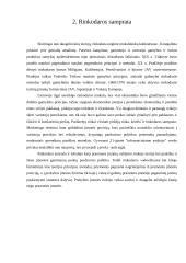 Naujo produkto „Uncle Pen“ įvedimas į rinką 4 puslapis