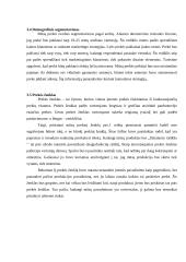 Naujo produkto „Uncle Pen“ įvedimas į rinką 6 puslapis