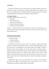 Naujo produkto „Uncle Pen“ įvedimas į rinką 8 puslapis