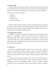 Naujo produkto „Uncle Pen“ įvedimas į rinką 9 puslapis