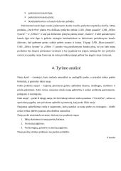 Naujo produkto „Uncle Pen“ įvedimas į rinką 10 puslapis