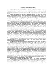 Krepšinis – antroji Lietuvos religija