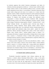 Lietuvos valstybės skola referatas 11 puslapis