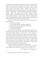 Lietuvos valstybės skola referatas 12 puslapis