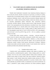 Lietuvos valstybės skola referatas 4 puslapis