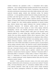 Lietuvos valstybės skola referatas 5 puslapis