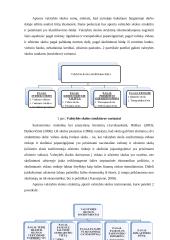 Lietuvos valstybės skola referatas 7 puslapis