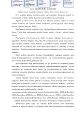 Lietuvos valstybės skola referatas 8 puslapis