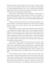 Lietuvos valstybės skola referatas 10 puslapis