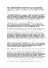 Plačiai apie Šizofreniją 17 puslapis