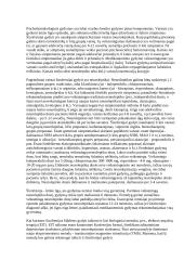 Plačiai apie Šizofreniją 18 puslapis