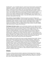 Plačiai apie Šizofreniją 5 puslapis