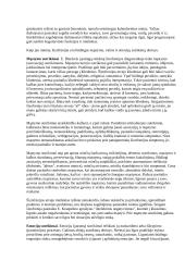 Plačiai apie Šizofreniją 9 puslapis