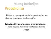 Muitų apibūdinimas, jų paskirtis ir funkcijos 11 puslapis