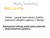 Muitų apibūdinimas, jų paskirtis ir funkcijos 12 puslapis